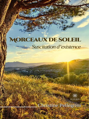cover image of Morceaux de soleil